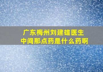 广东梅州刘建雄医生 中间那点药是什么药啊